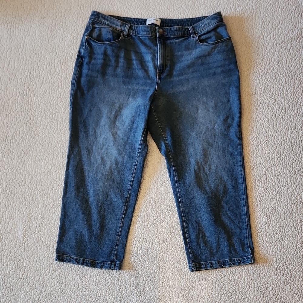 Lane Bryant Dark Blue Straight Leg Jeans